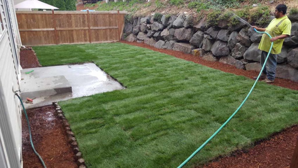 Landscape Maintenance Snohomish County