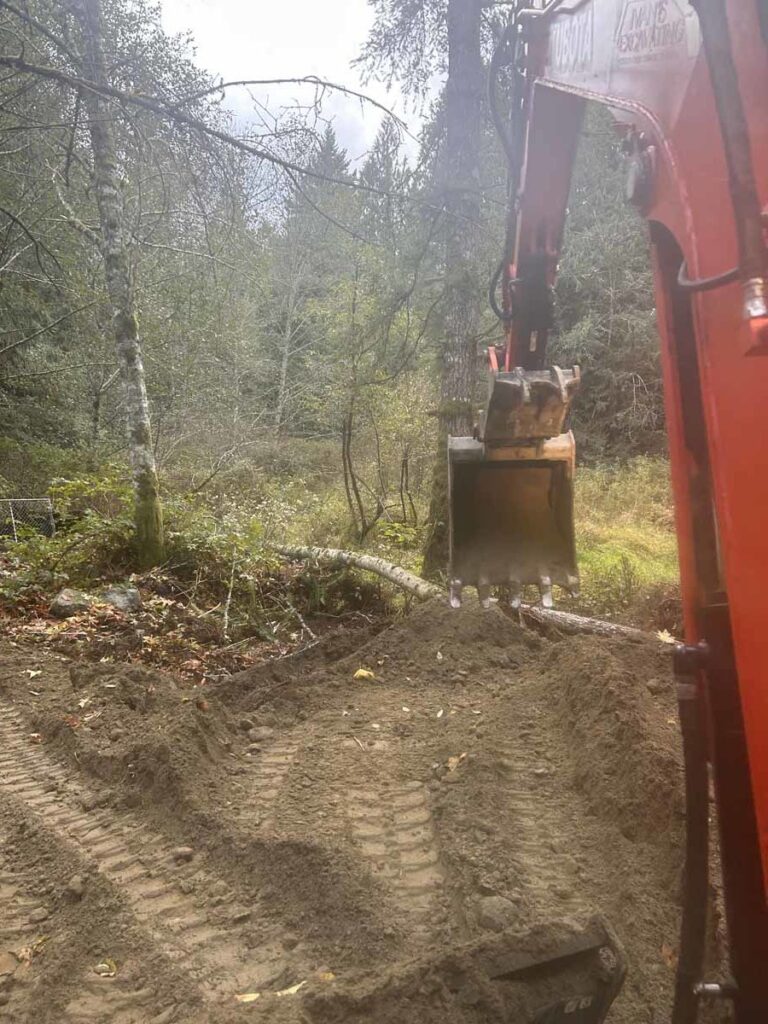 Land Clearing Woods in Snohomish County
