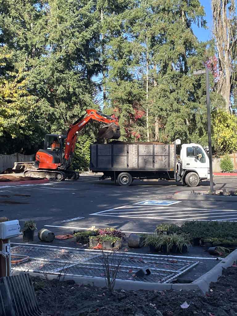 Snohomish County Tree and Brush Removal