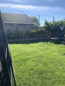 lawn care Marysville washington