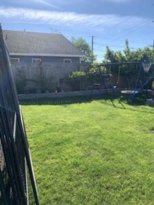 Sunny backyard with swing set and lush grass