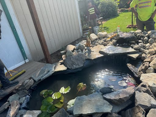 Fully finished backyard pond installed with ivans landscape and construction