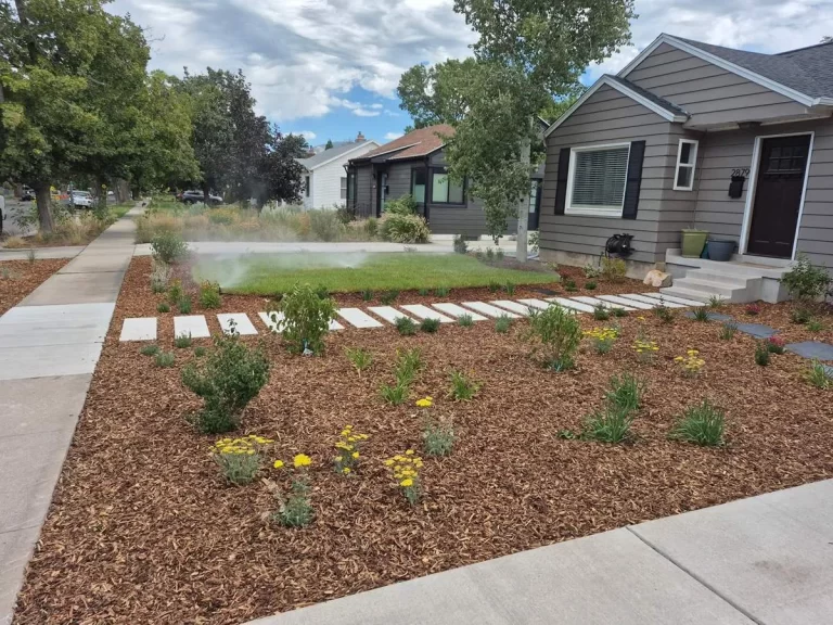 Modern front yard with mulch and stone path