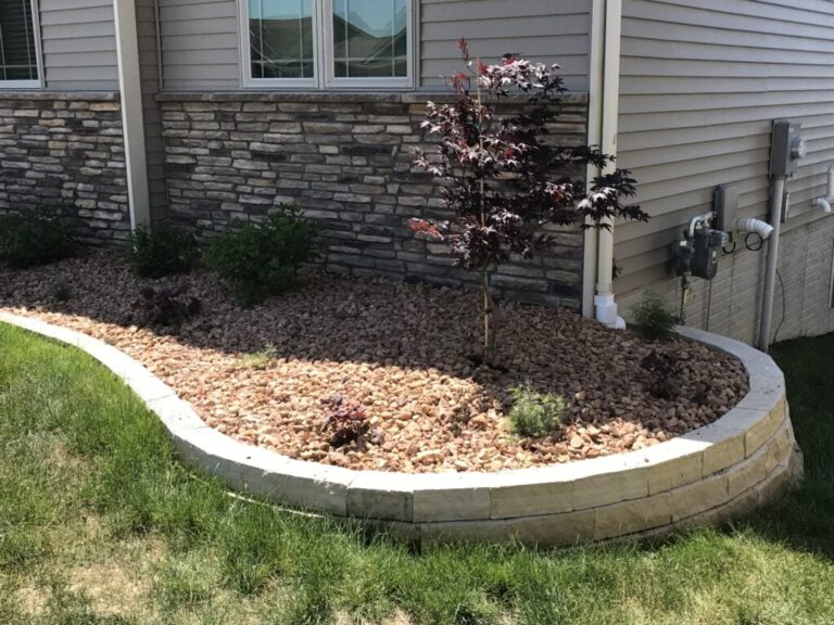 Raised garden bed with mulch and small tree